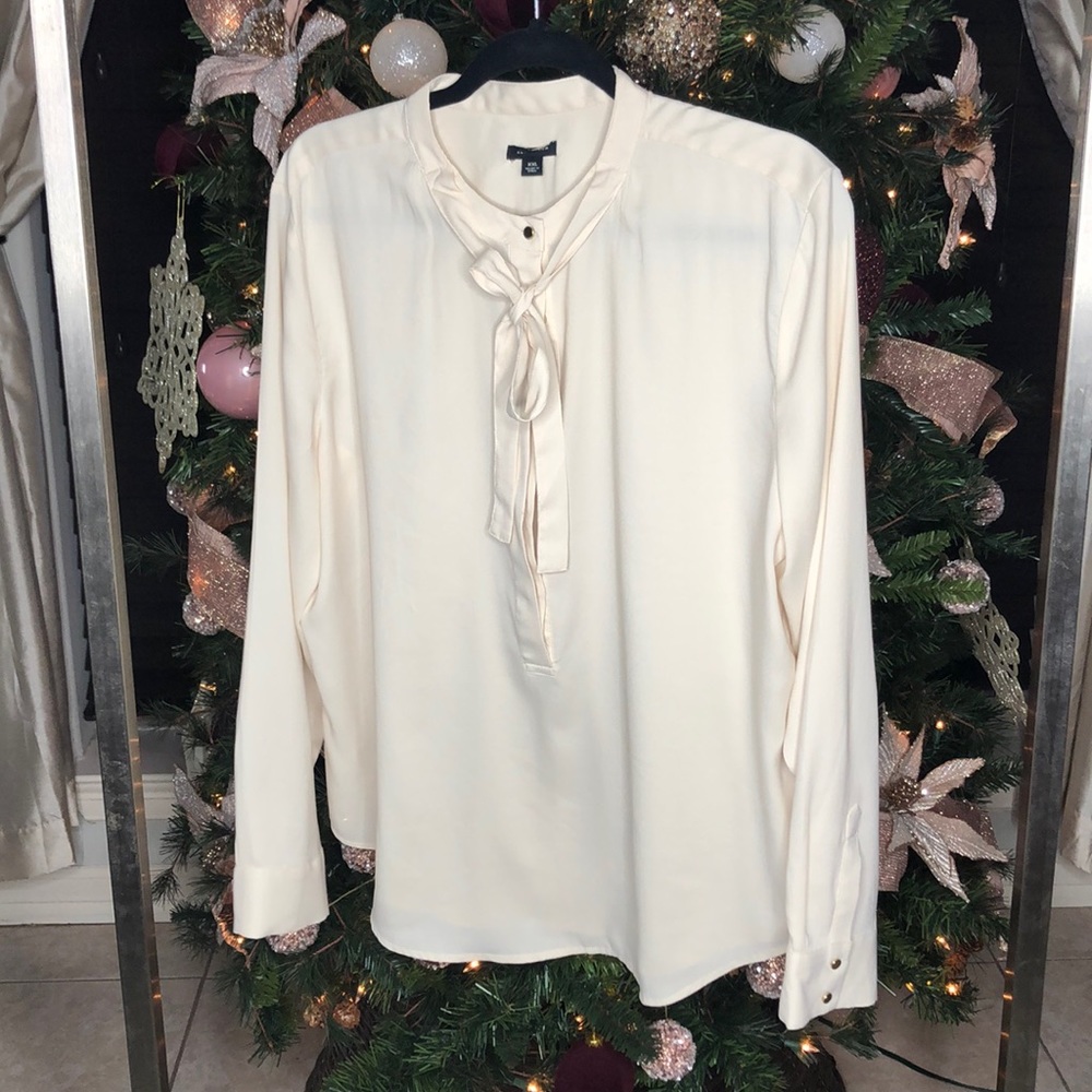 Ann Taylor Blouse